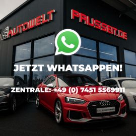 Bild 19